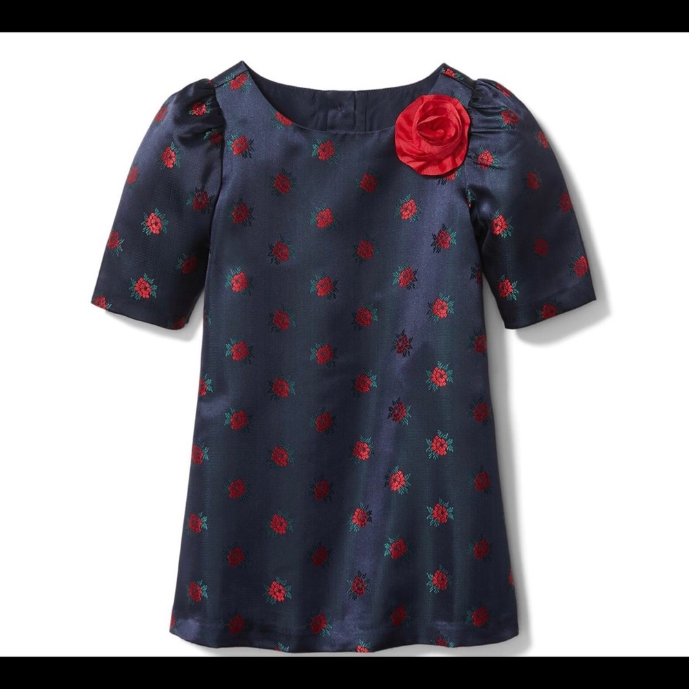 ROSE JACQUARD DRESS / Size 3-6 months/ Color Dark Marine Rose Print
